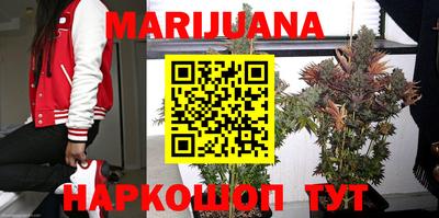гашик Кунгур