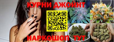 гашик Кунгур