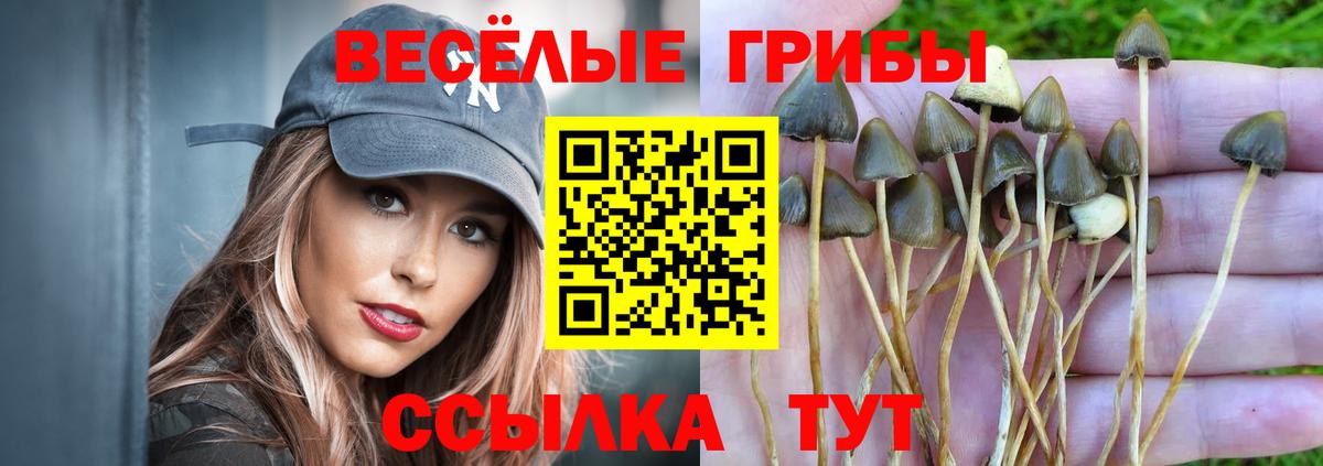 Псилоцибиновые грибы MAGIC MUSHROOMS Смоленск